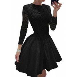Elegant Plain Long Sleeve Lace Mini Skater Dress Black